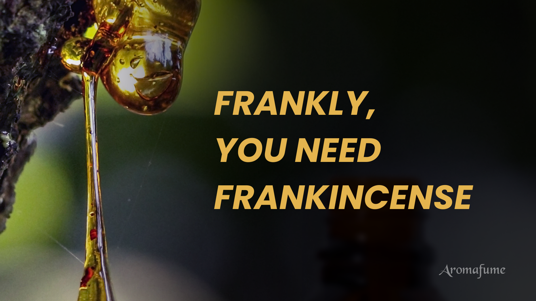 Resin dripping from a Boswellia tree with the text "Frankly, you need Frankincense."