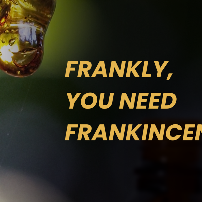 Resin dripping from a Boswellia tree with the text "Frankly, you need Frankincense."