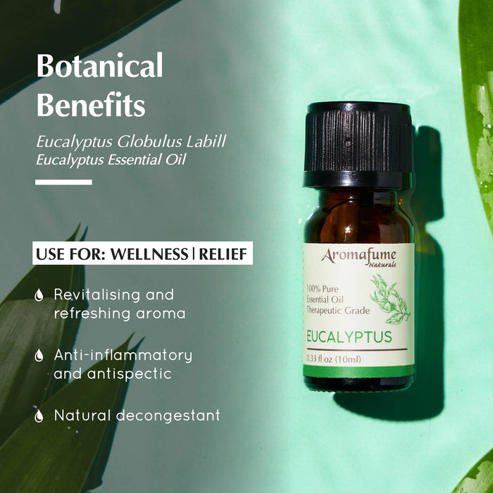 Eucalyptus Pure Essential Oil & Burner Bundle