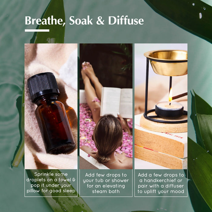 Eucalyptus Pure Essential Oil & Burner Bundle