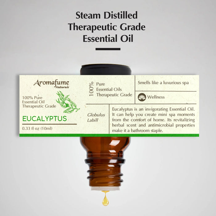 Eucalyptus Pure Essential Oil & Burner Bundle