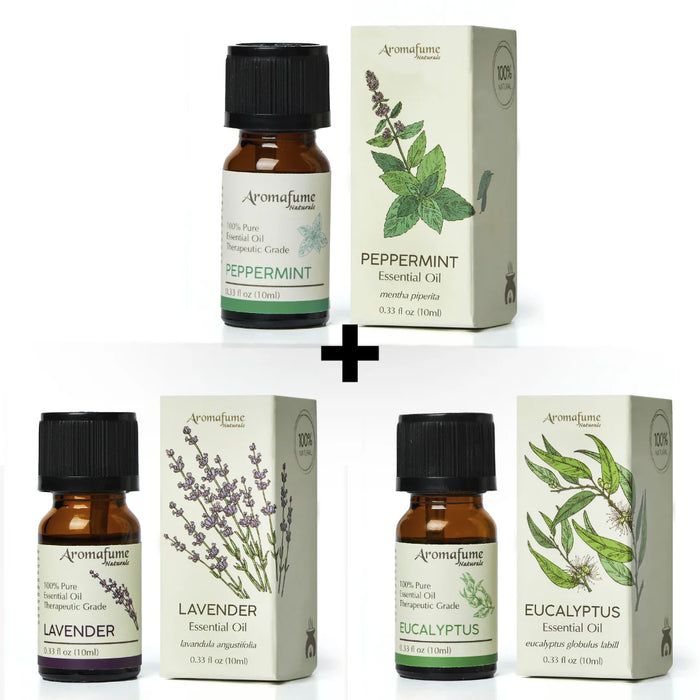 Comfort & Relaxation - Pure Essential Oil Kit