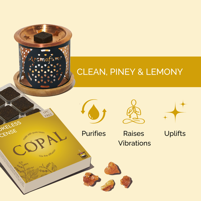 Copal Incense Bricks & Burner Set