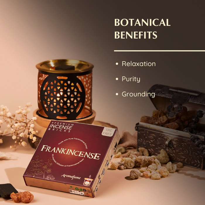 Frankincense Incense Bricks & Burner Set