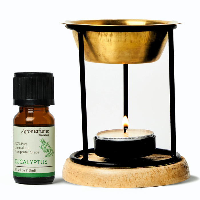 Eucalyptus Pure Essential Oil & Burner Bundle